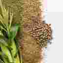 خوراک دام اسدی خوراک دام اسدی